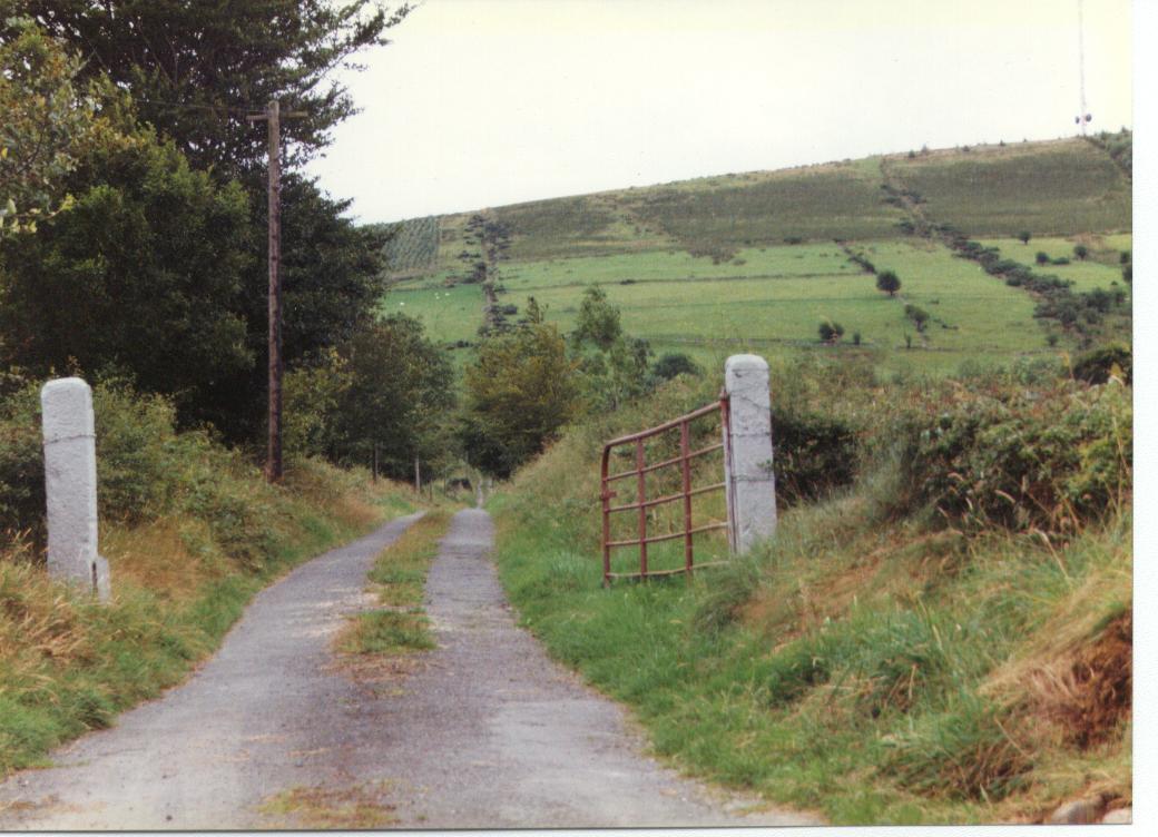 cooneyscornhill.jpg